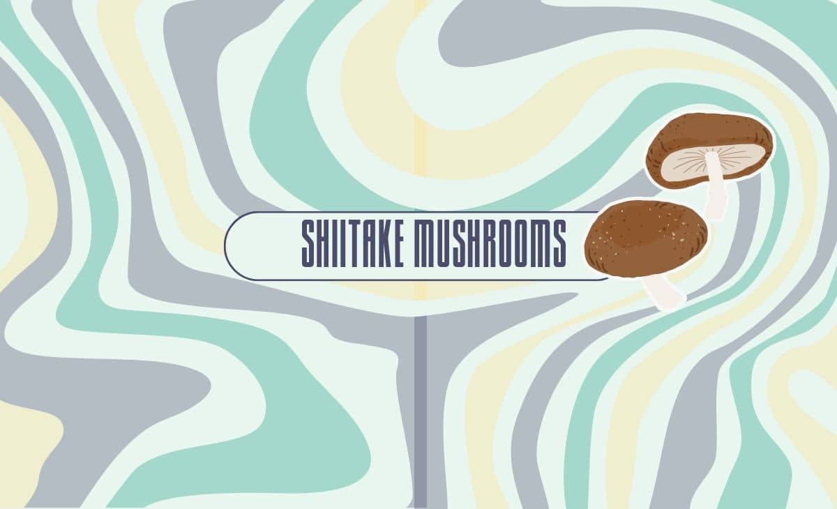 Shiitake Mushrooms: Nutrition Facts and Potential Benefits - Nutrition  Advance