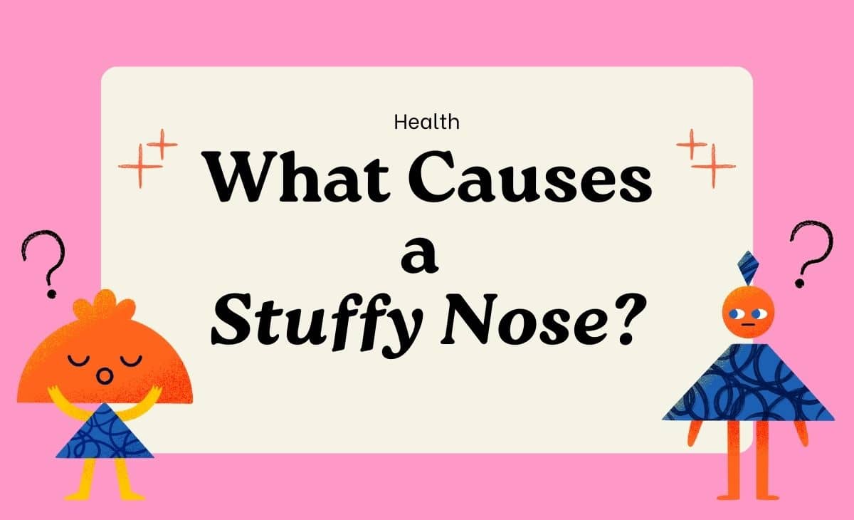 what-causes-a-stuffy-nose-resurchify