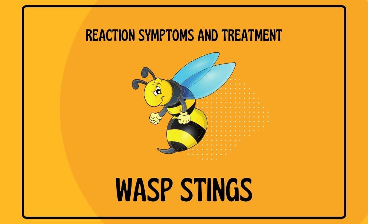 wasp-stings-reaction-symptoms-and-treatment-resurchify