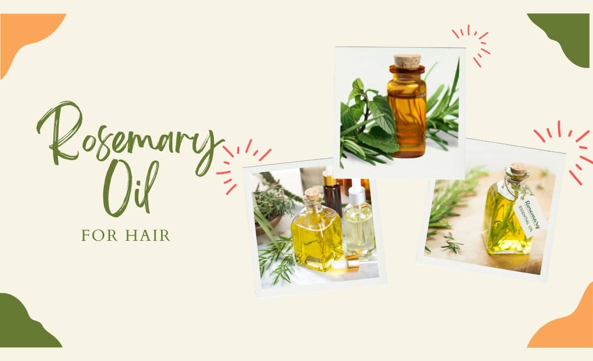 Rosemary Oil for Hair: Growth, Uses, and Benefits - Resurchify