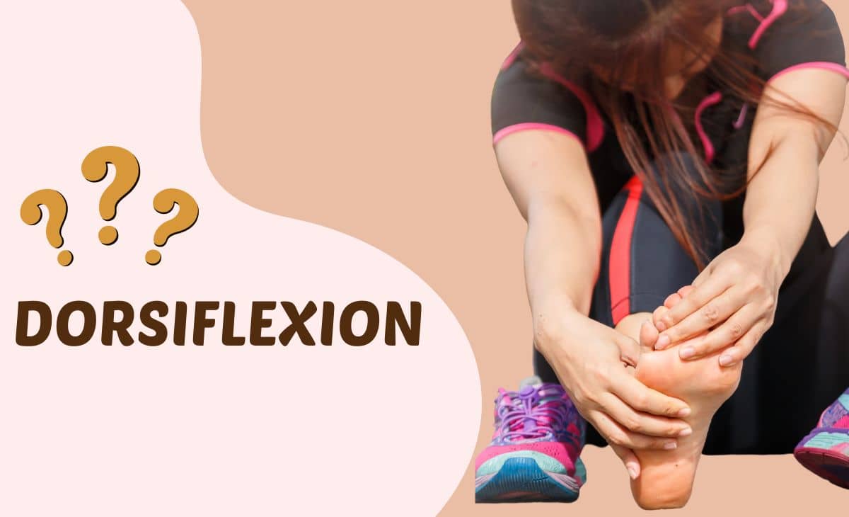 Eversion of the Foot  Anatomy, Muscles & Movement - Lesson