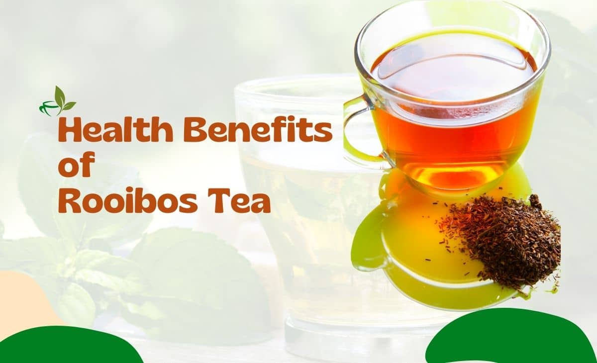 Rooibos | Herbal Tea