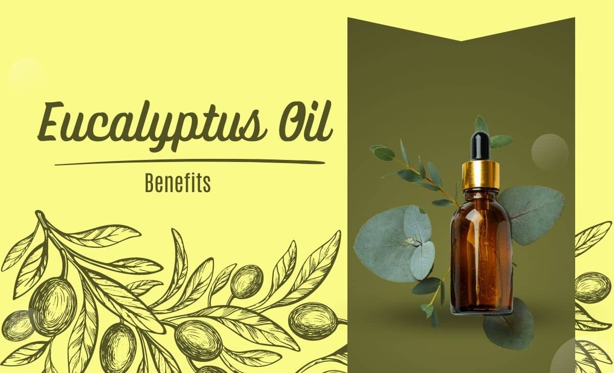 9 Amazing Eucalyptus Oil Benefits - How to Use Eucalyptus Oil